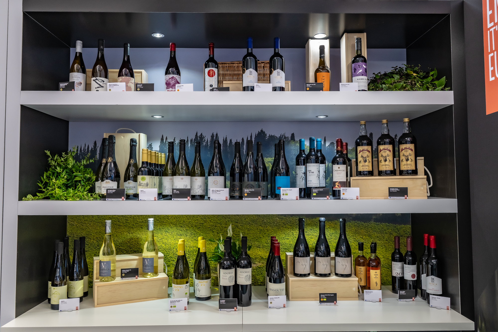 European Excellence Uncorked at London Wine Fair 2025 1