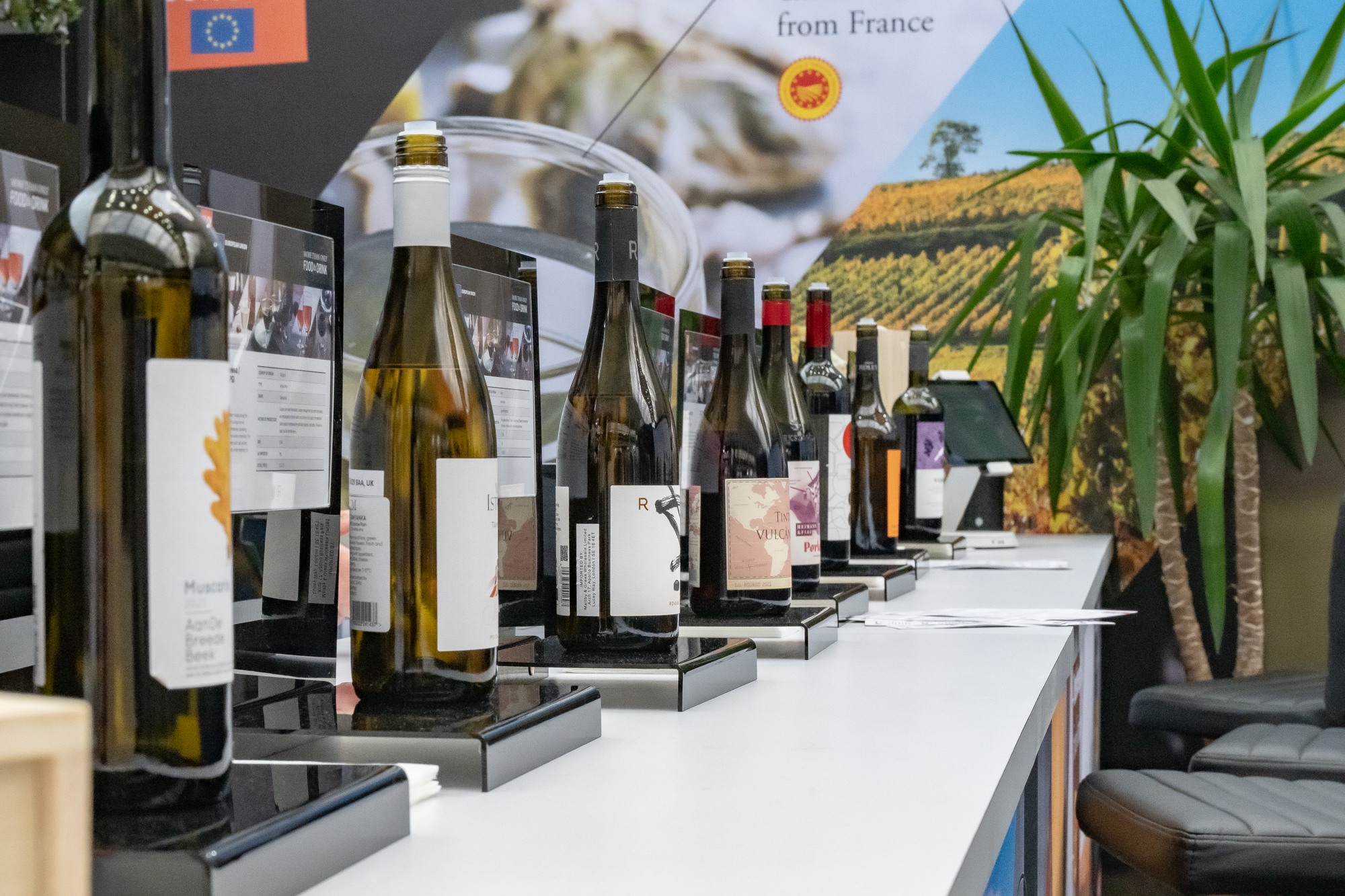 European Excellence Uncorked at London Wine Fair 2025 7