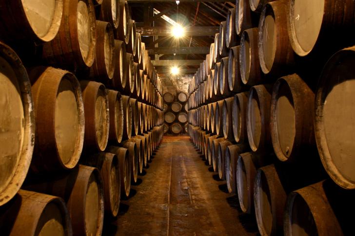 wine production