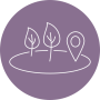 Authenticity tradition icon