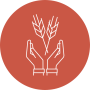 Quality growth icon