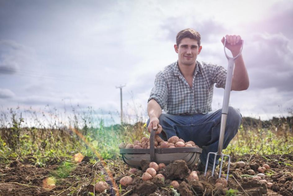European farmer