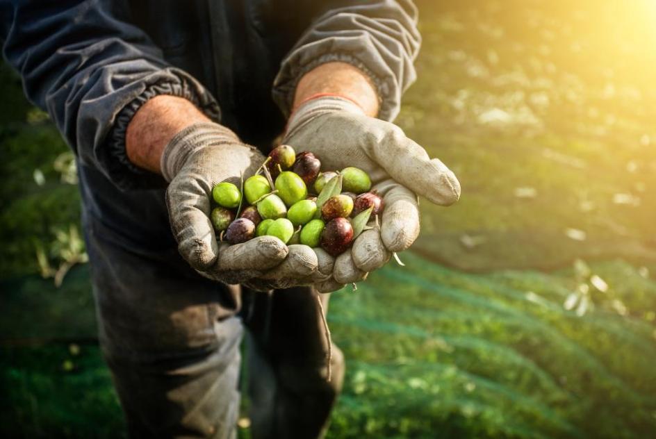 olives