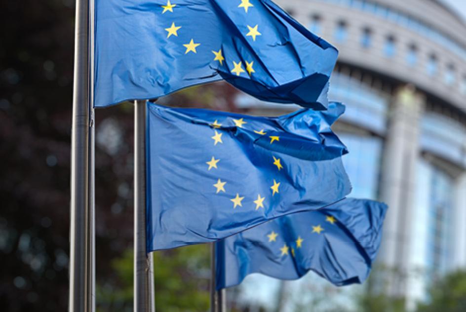 Agriculture in the EU