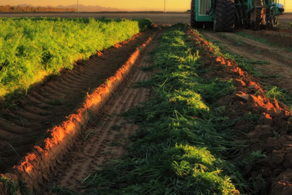 Agriculture in the EU 2