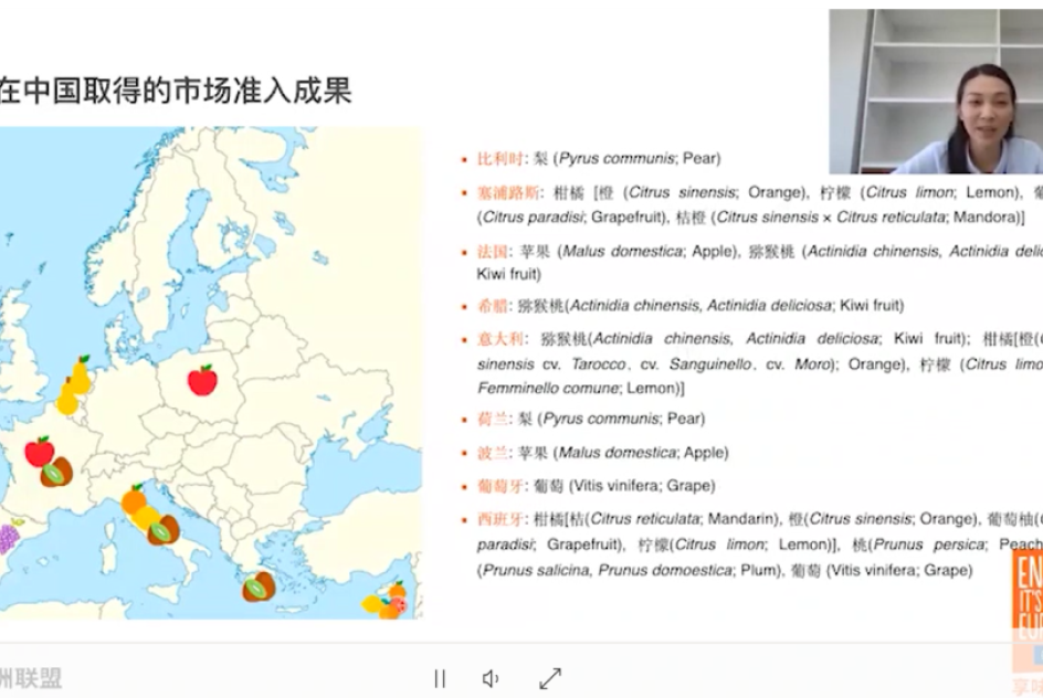 CHINA Fruit Webinar screenshot