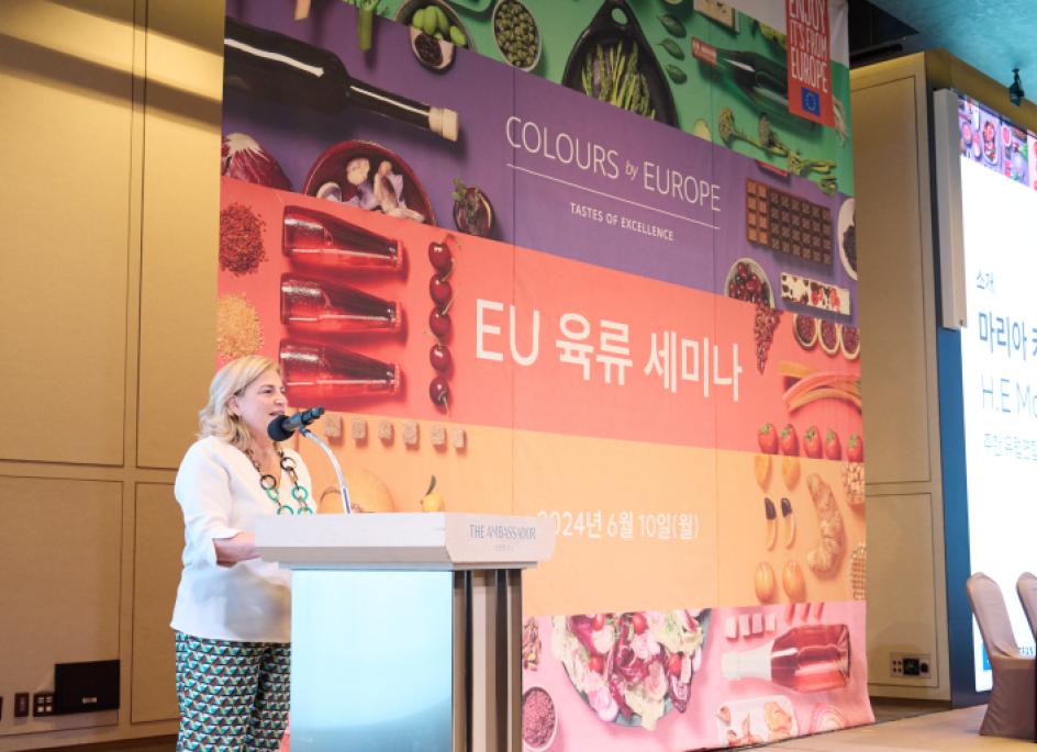 H.E Maria Castillo Fernandez, EU Ambassador to Korea, honoured guests 
