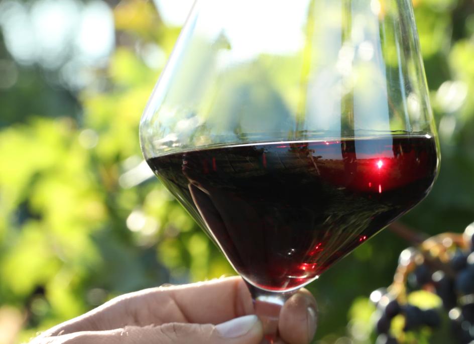 Wine