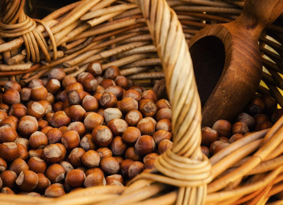 Nocciola del Piemonte / Nocciola Piemonte PGI  