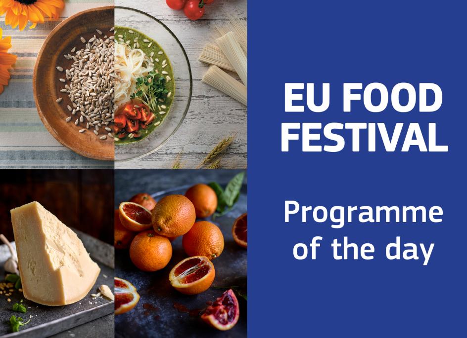 16-18 May: Programme of the day