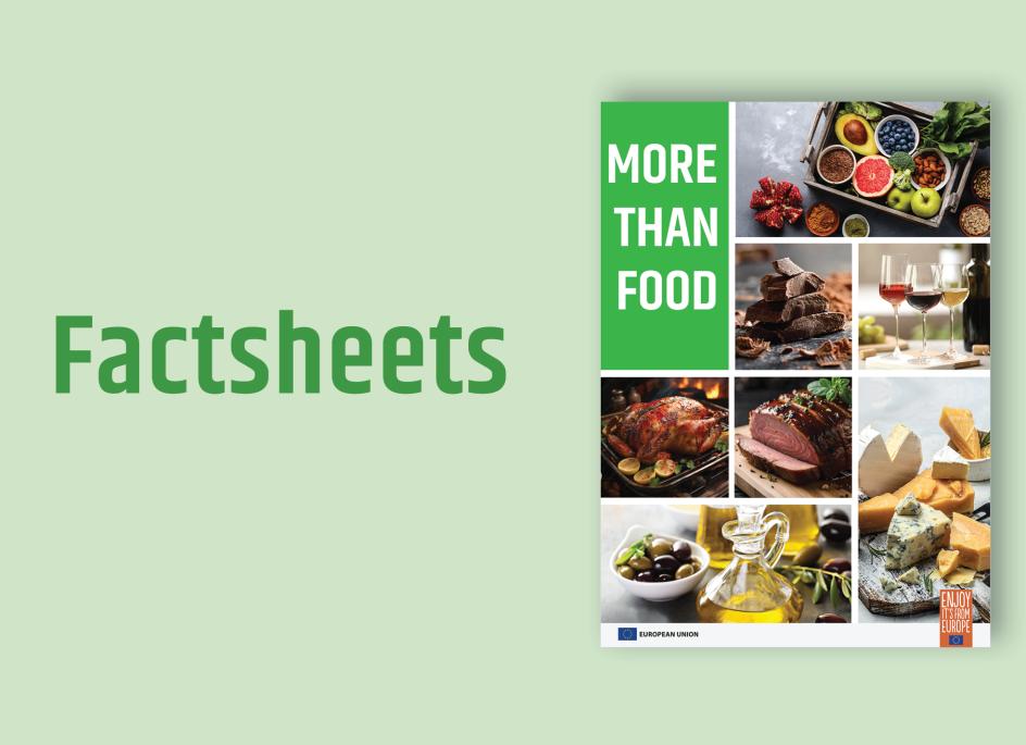 More than Food Factsheet